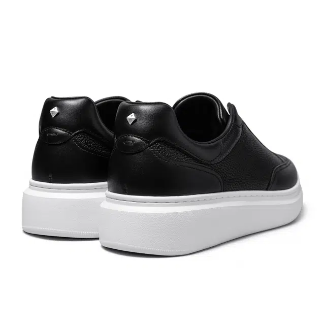 THOM WILLS trainer