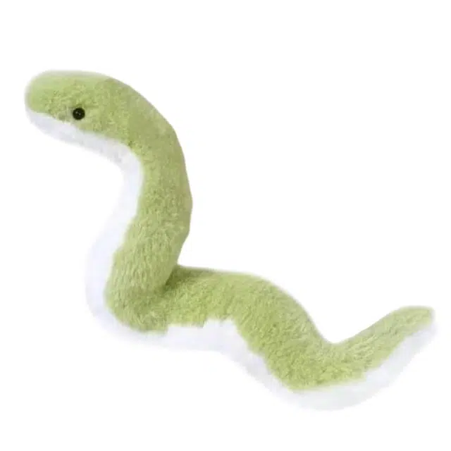 40cm