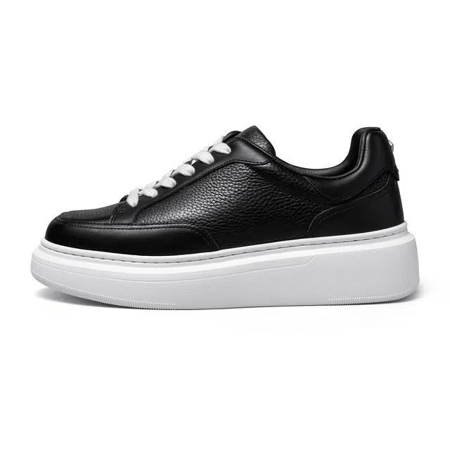 THOM WILLS trainer