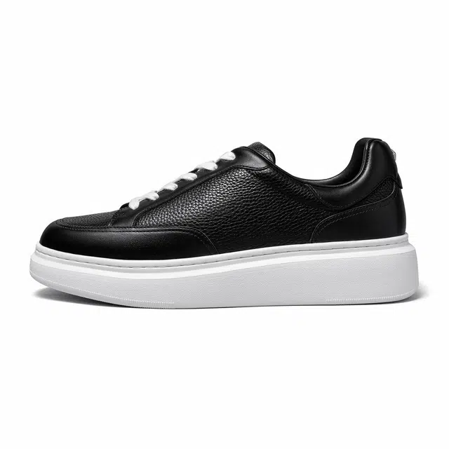 THOM WILLS trainer