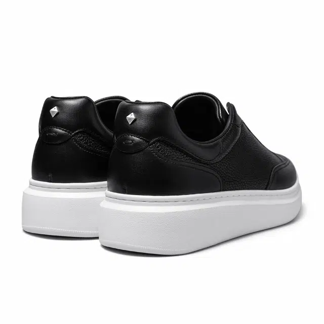 THOM WILLS trainer