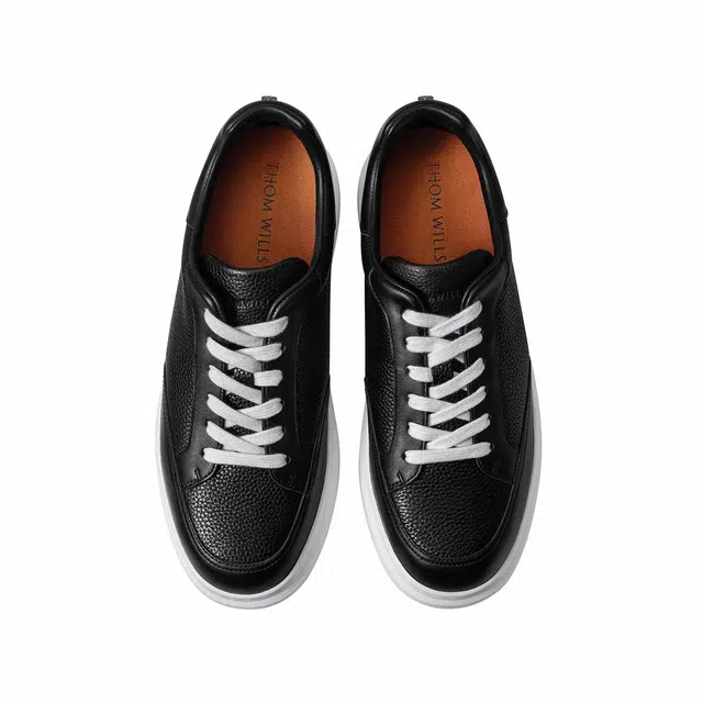 THOM WILLS trainer
