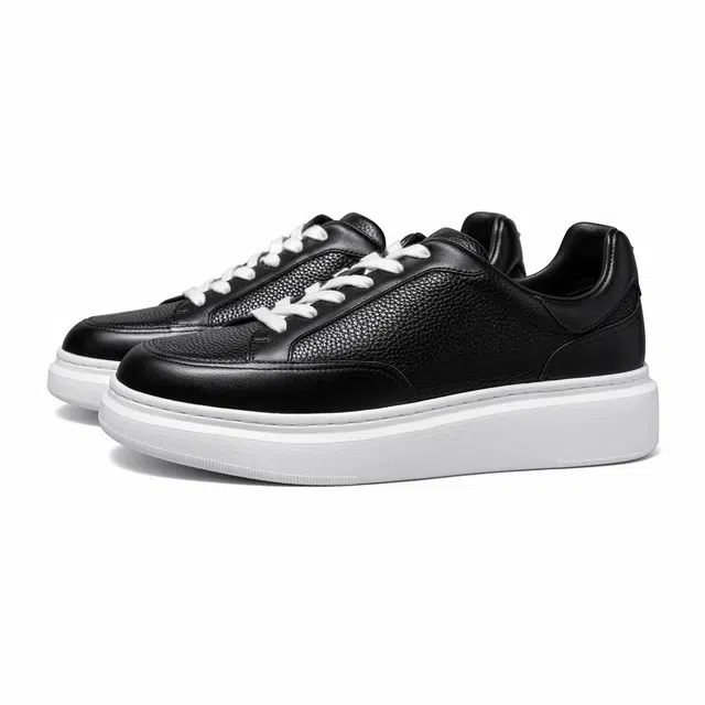THOM WILLS trainer