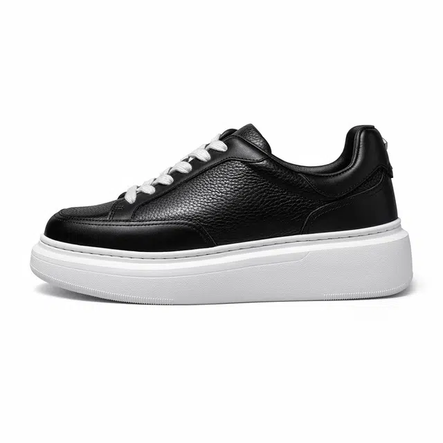 THOM WILLS trainer