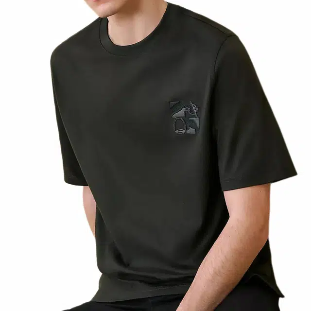 HERMES LogoT