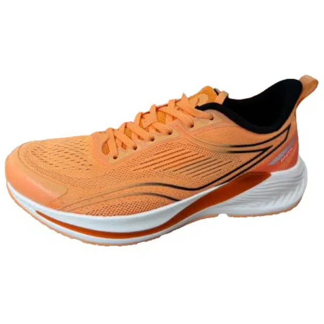 Anta 6