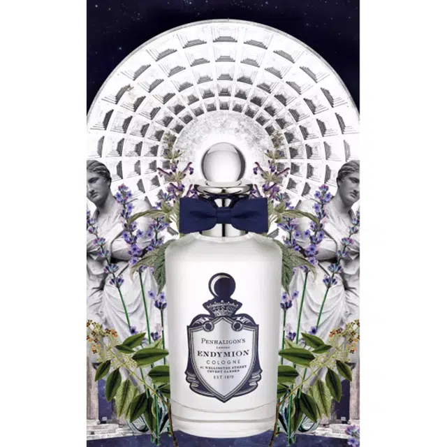 EDPEDC 30ml50ml100ml