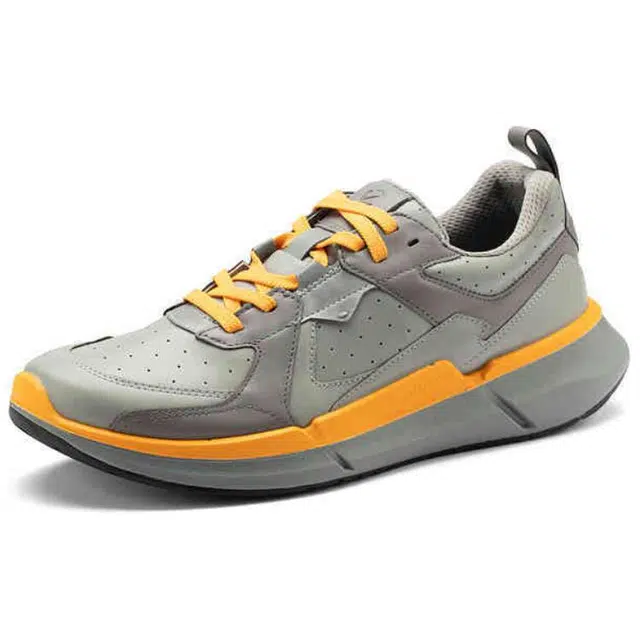 ecco Biom 2.2