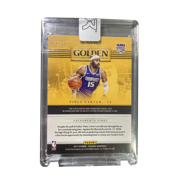 PANINI 2017-18 25 Patch Auto