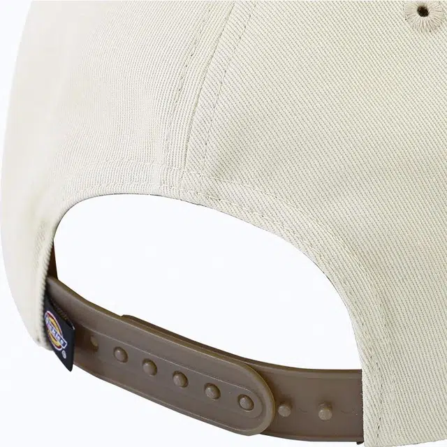Dickies Logo