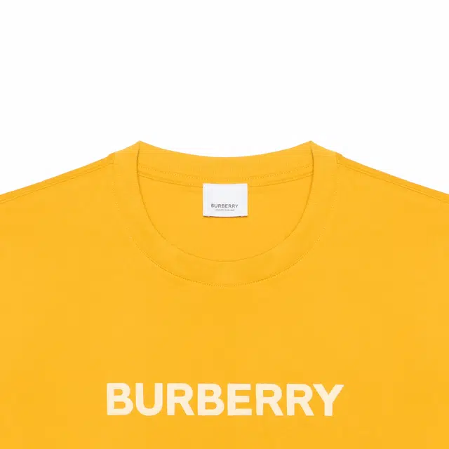 Burberry SS23 LogoT