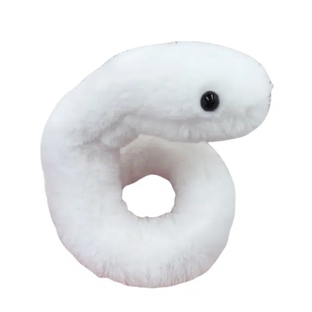 40cm