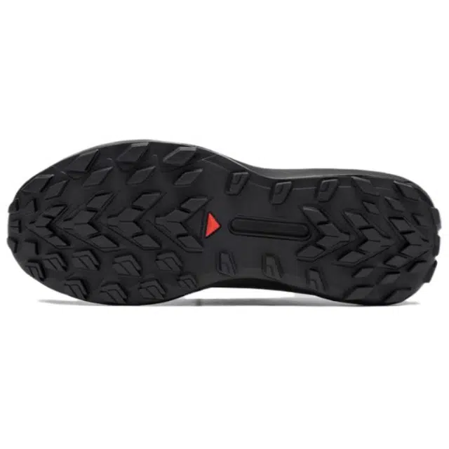 SALOMON GENESIS