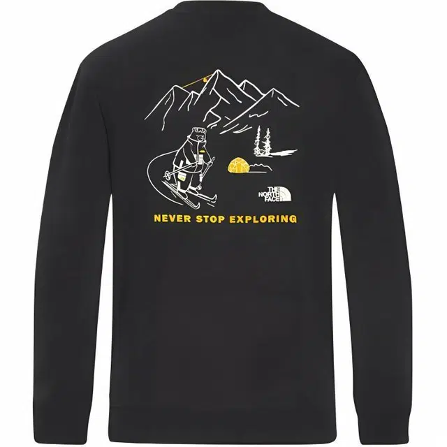 THE NORTH FACE