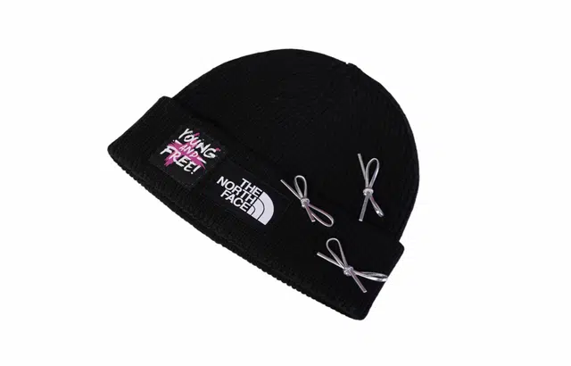 THE NORTH FACE
