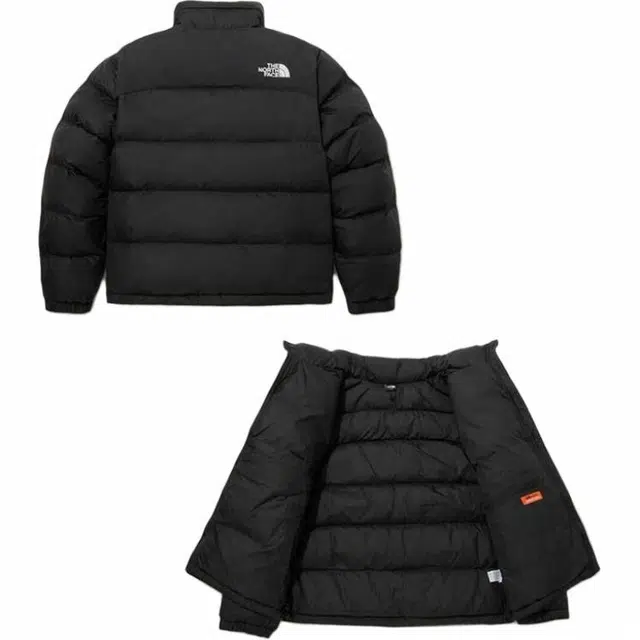 THE NORTH FACE FW23 ASPEN ON BALL Logo