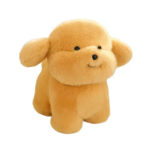 20cm30cm
