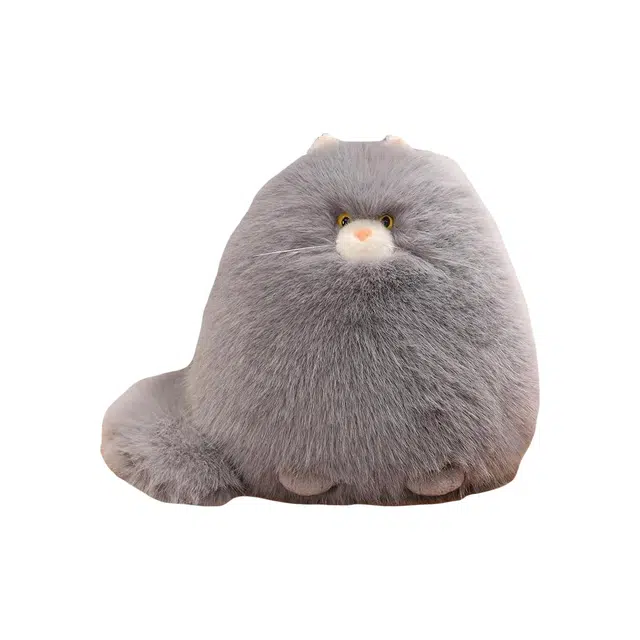 30cm40cm