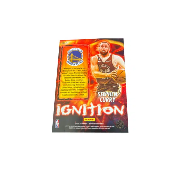 PANINI hoops