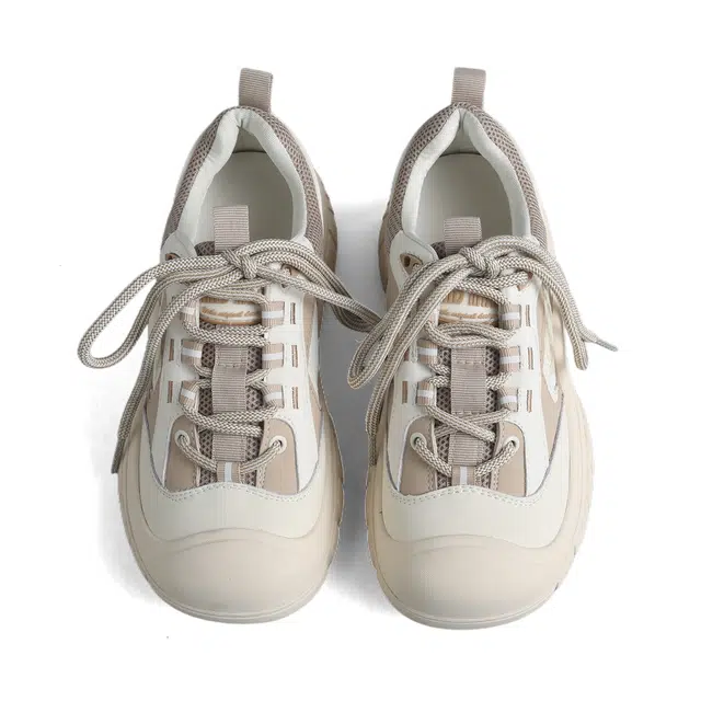 DOLIN COLLECTION -X2025 ins