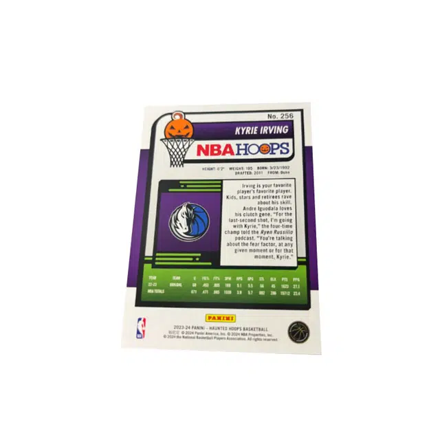 PANINI hoops