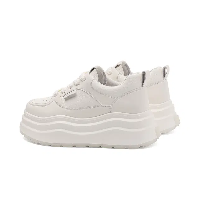 AQUASCUTUM