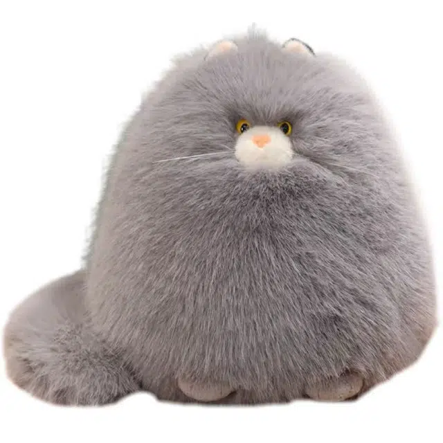 30cm40cm