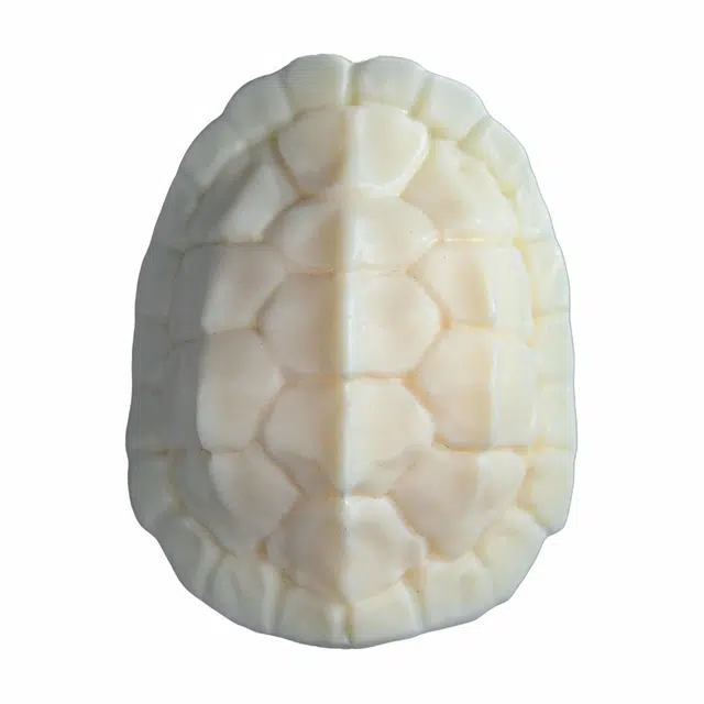 素于 国潮新中式轻奢高级感文玩生肖蛇把玩简约好运连连富甲天下#幸运配饰 象牙果 手把件 男女同款情侣款