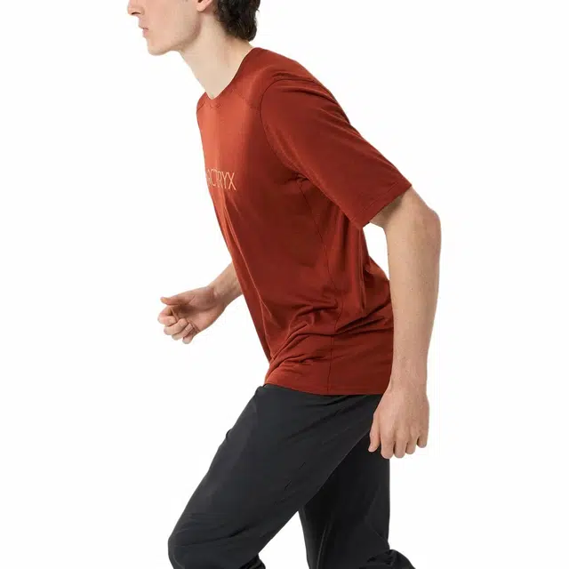 Arcteryx Ionia Merino Wool Arc'word Logo SS T