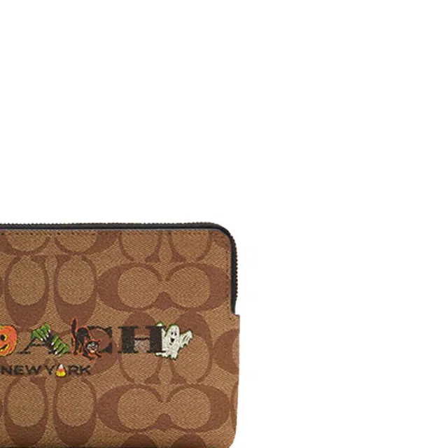 COACH Corner Zip 20