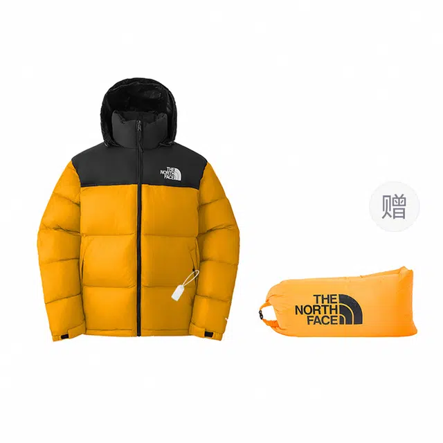 THE NORTH FACE 1996 ICON 700