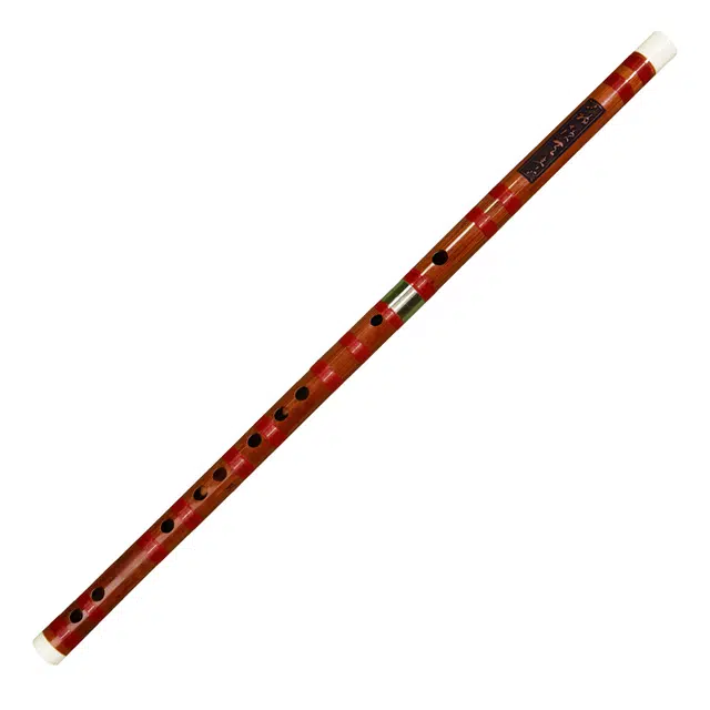 ZYD555-3