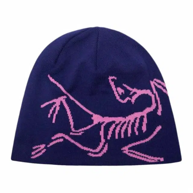 Arcteryx