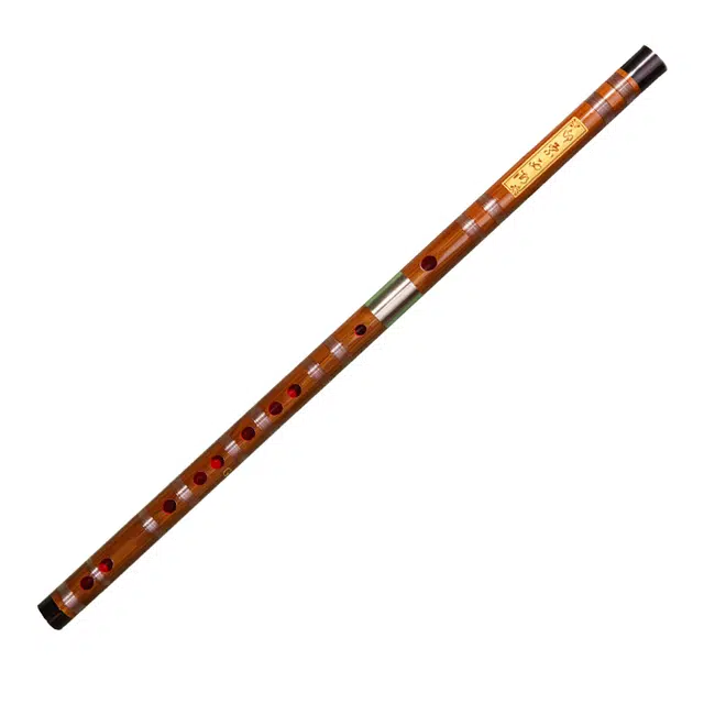 DZD8883
