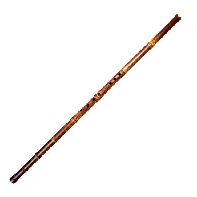 LXX1111