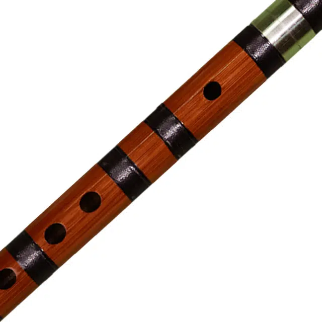 YZD8881