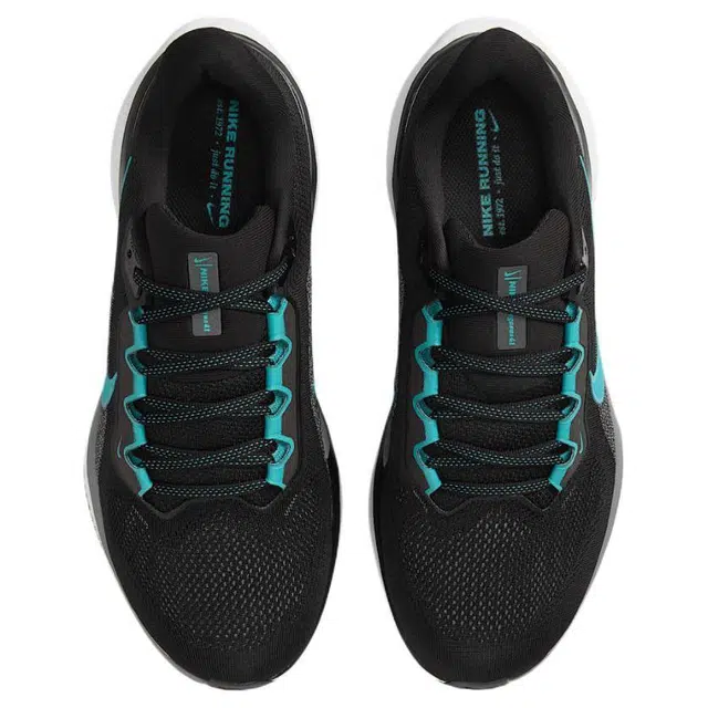 Nike Pegasus 41