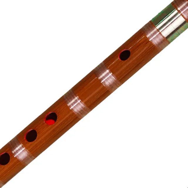 ZYD555-1