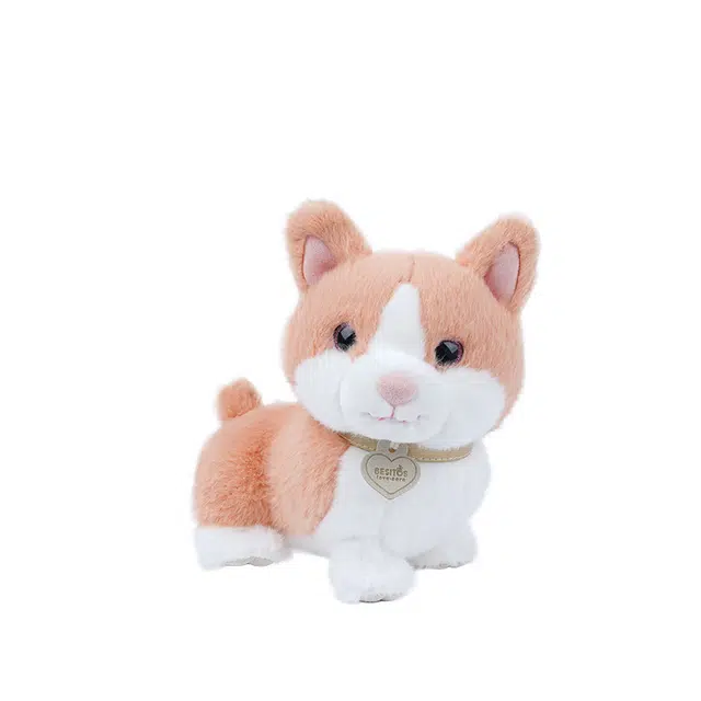 YRCW 15cm20cm