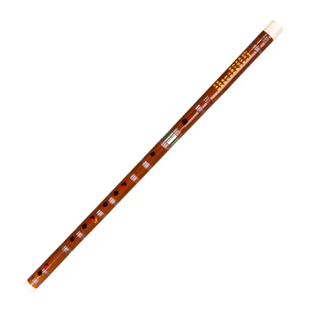 ZYD555-1