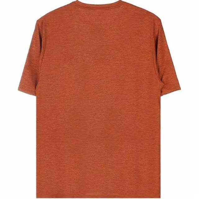 patagonia cap cool daily Graphic T