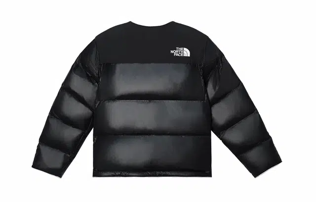 THE NORTH FACE Nuptse 811V