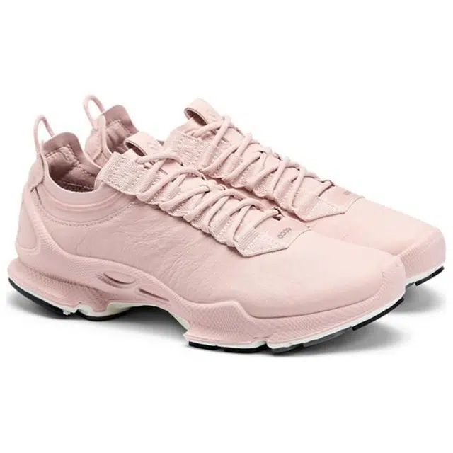 ecco C