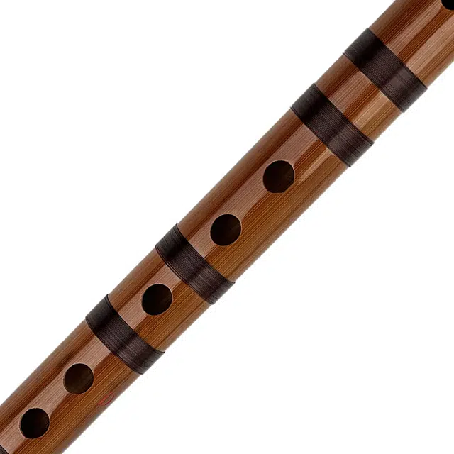 ZYD555-7