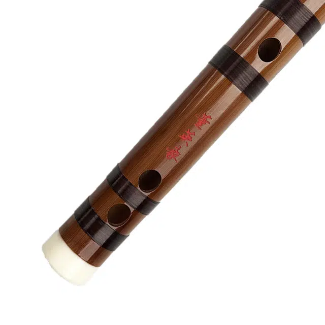 ZYD555-7