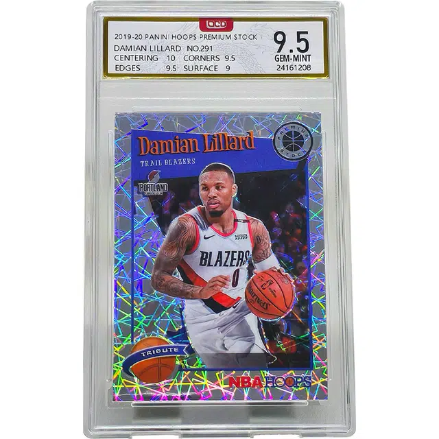 PANINI HOOPS Stock 9.5