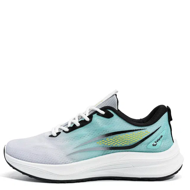 Feiyue