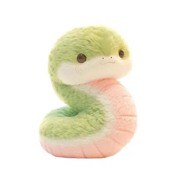 25cm