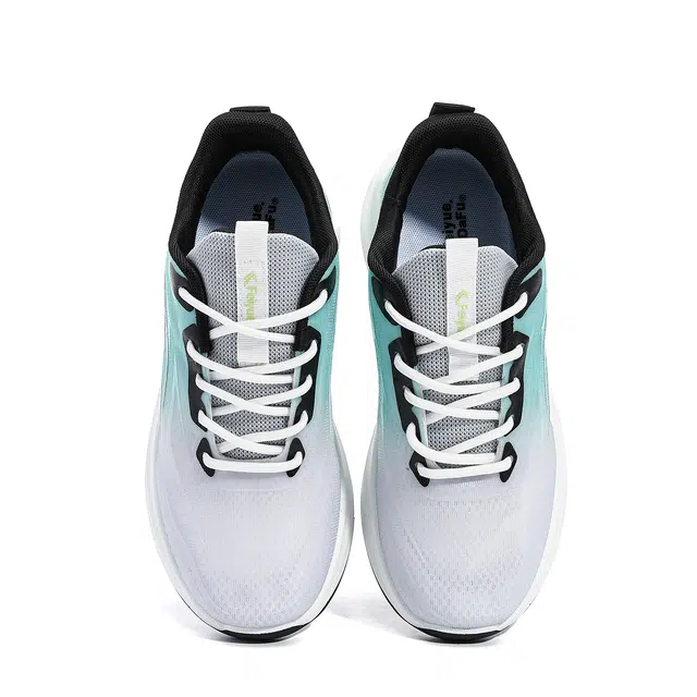 Feiyue