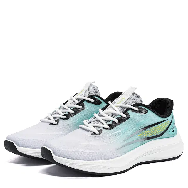 Feiyue